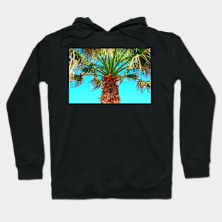 View at a palm tree against the sky Hoodie